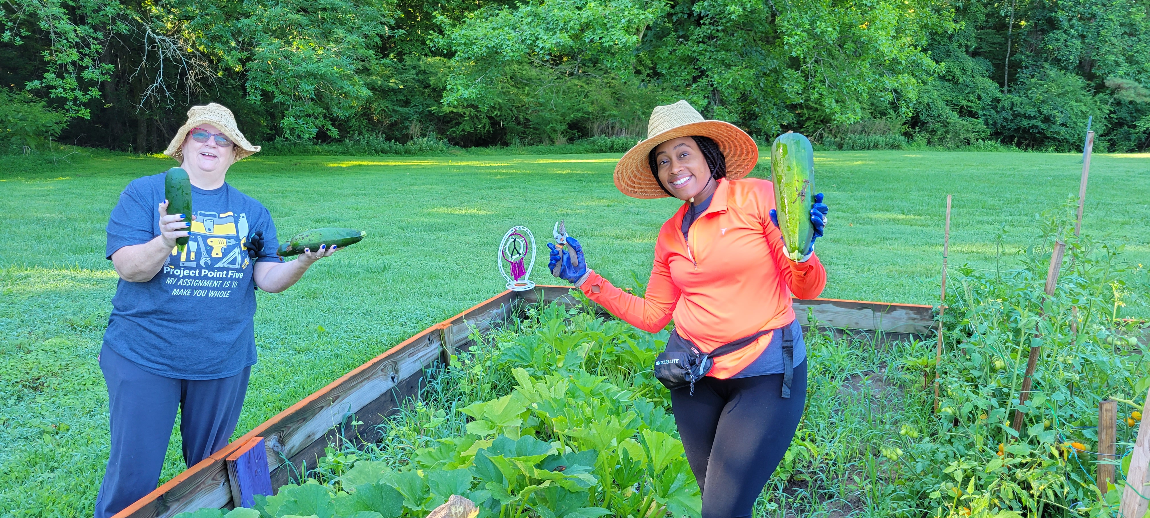 Garden Harvest